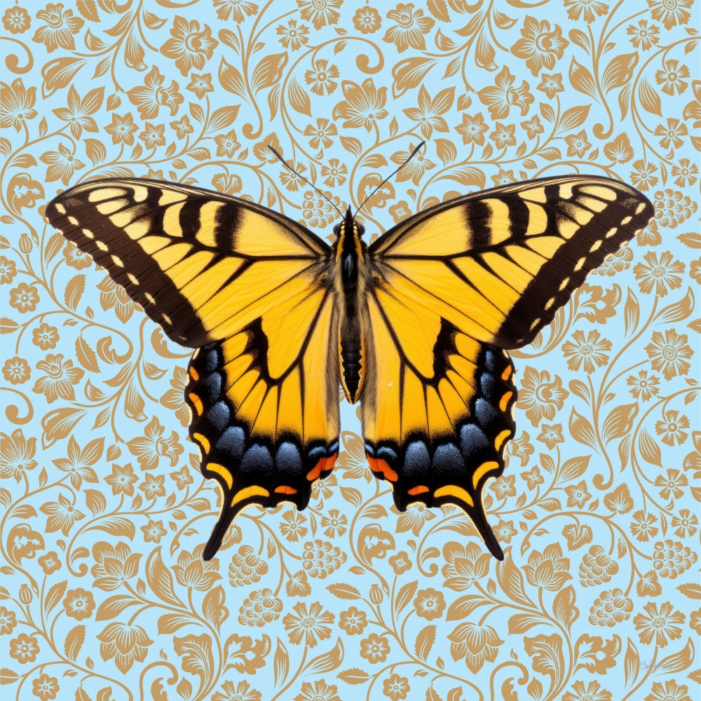 Butterfly #4