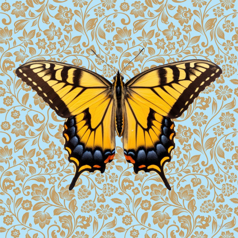 Butterfly #4