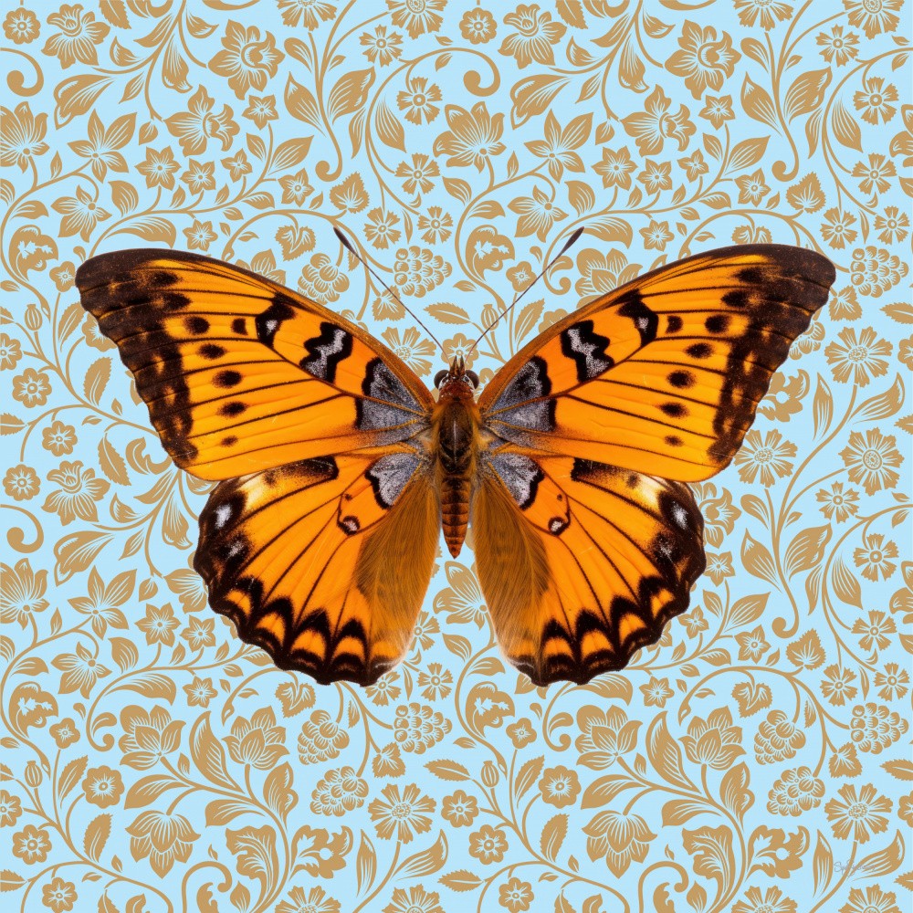 Butterfly #6