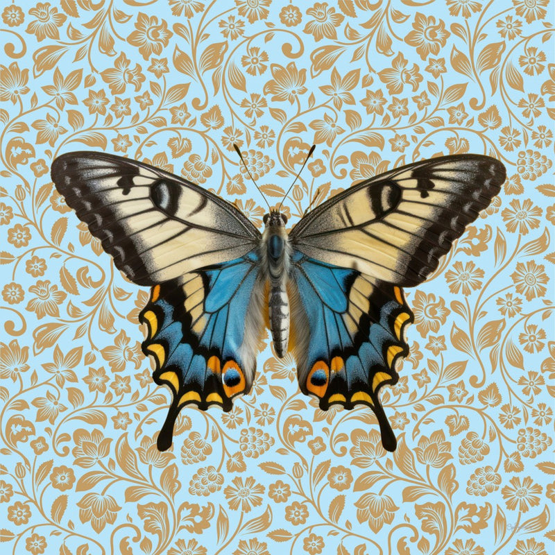 Butterfly #7