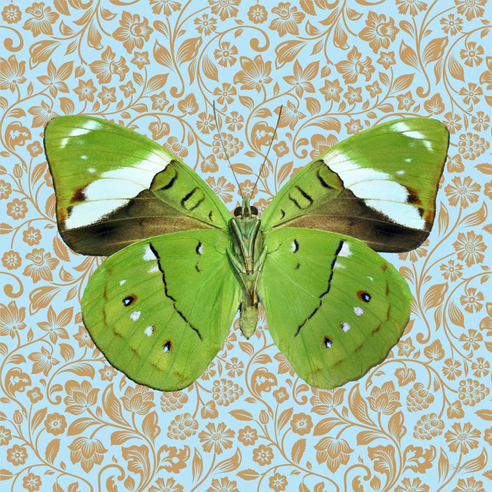 Butterfly #8