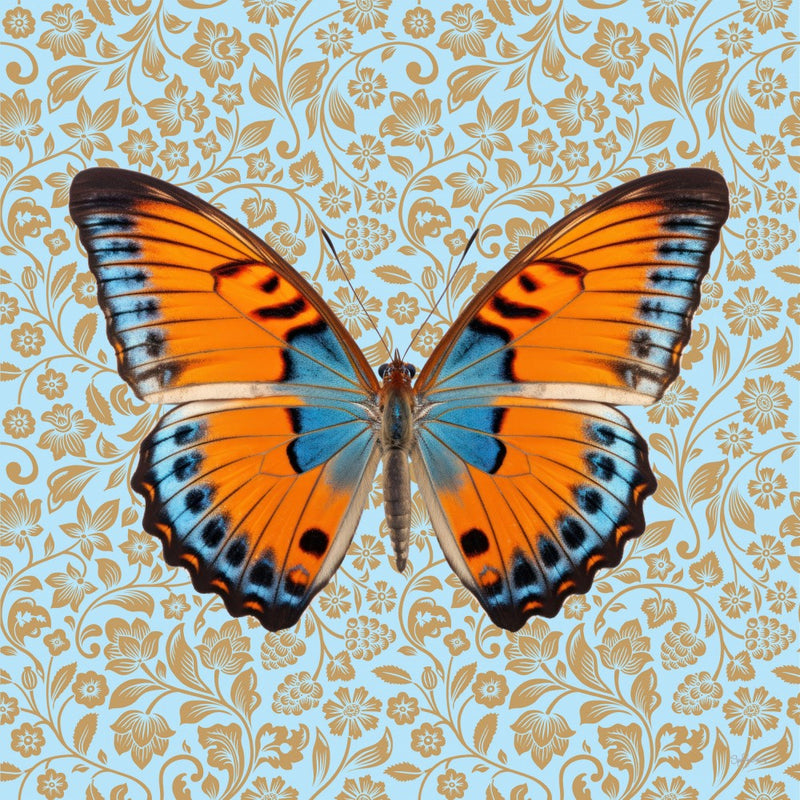 Papillon n°9