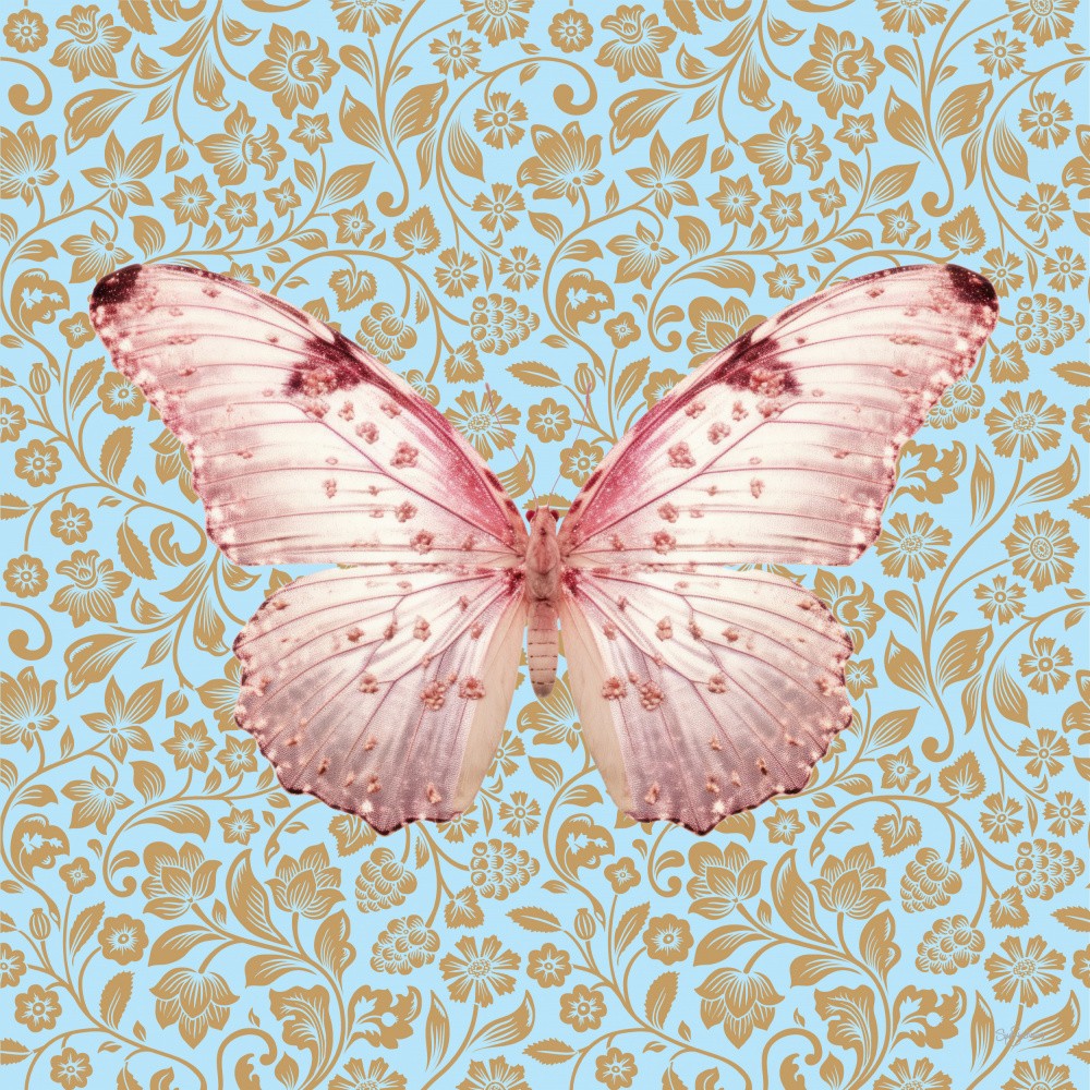 Butterfly #10