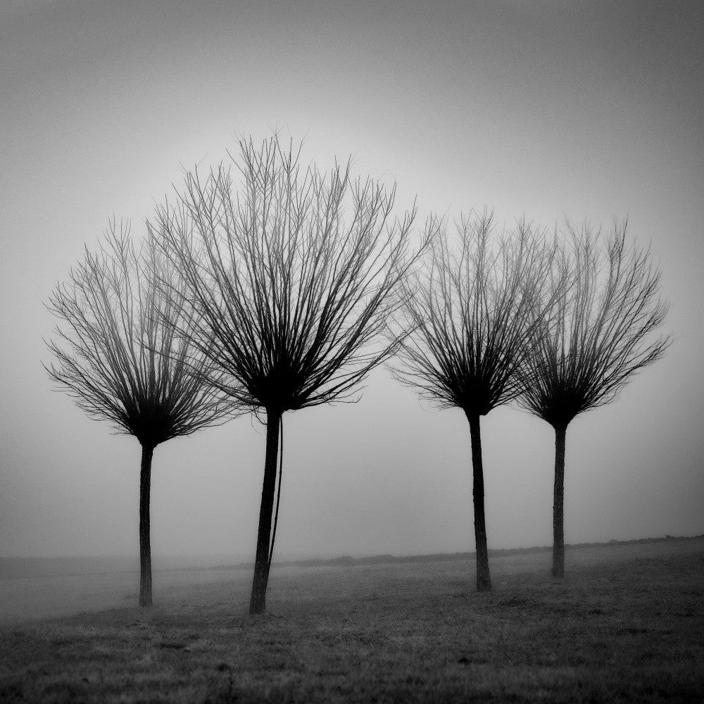 Quartet