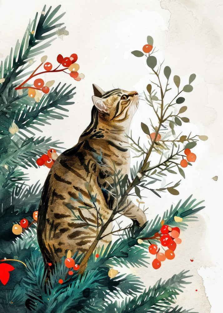 Cat's life 11