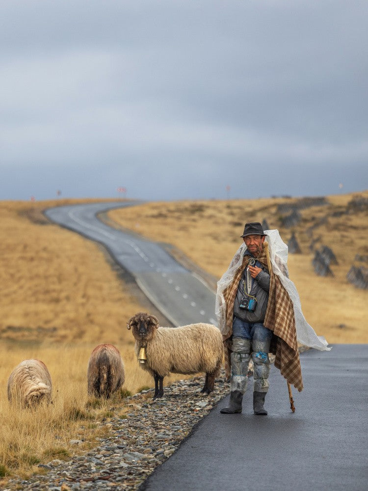 A shepherd by the side of the road