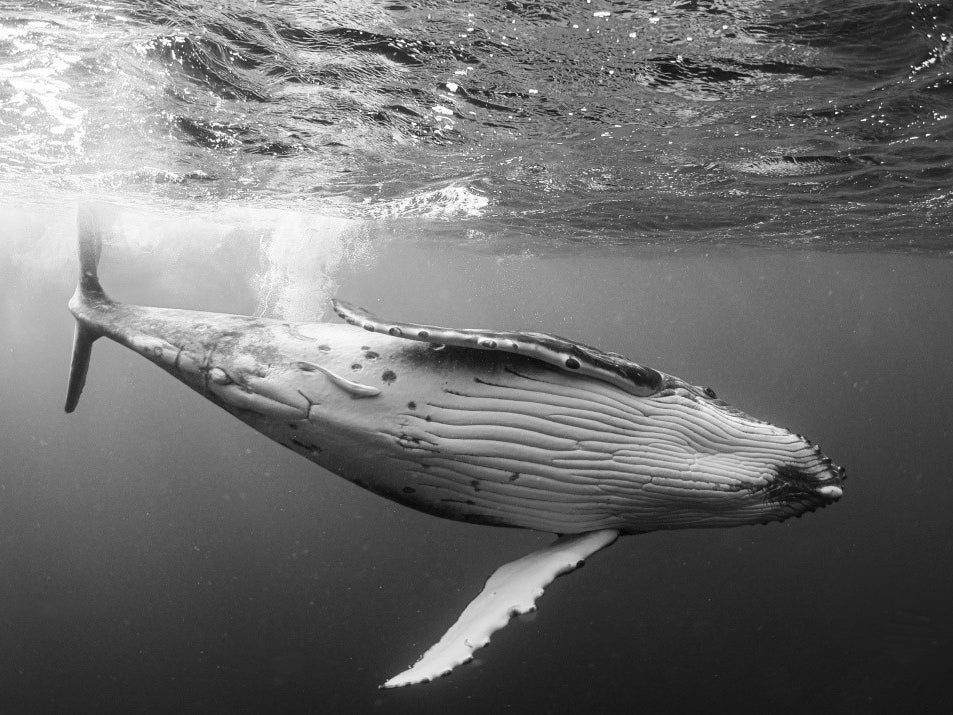 A Perfect Soothing Day