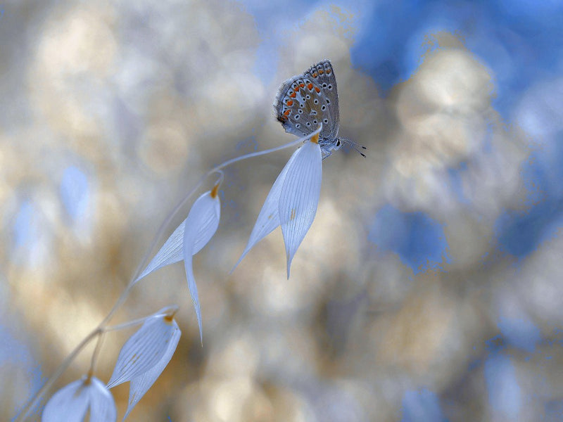 Bungeespringen...