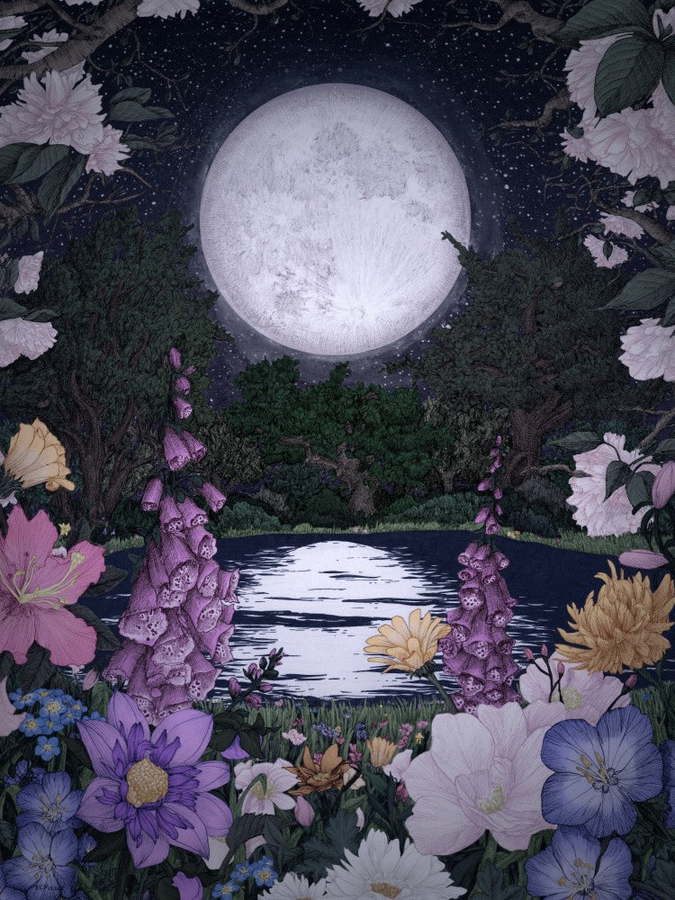 Moon Garden Reflections