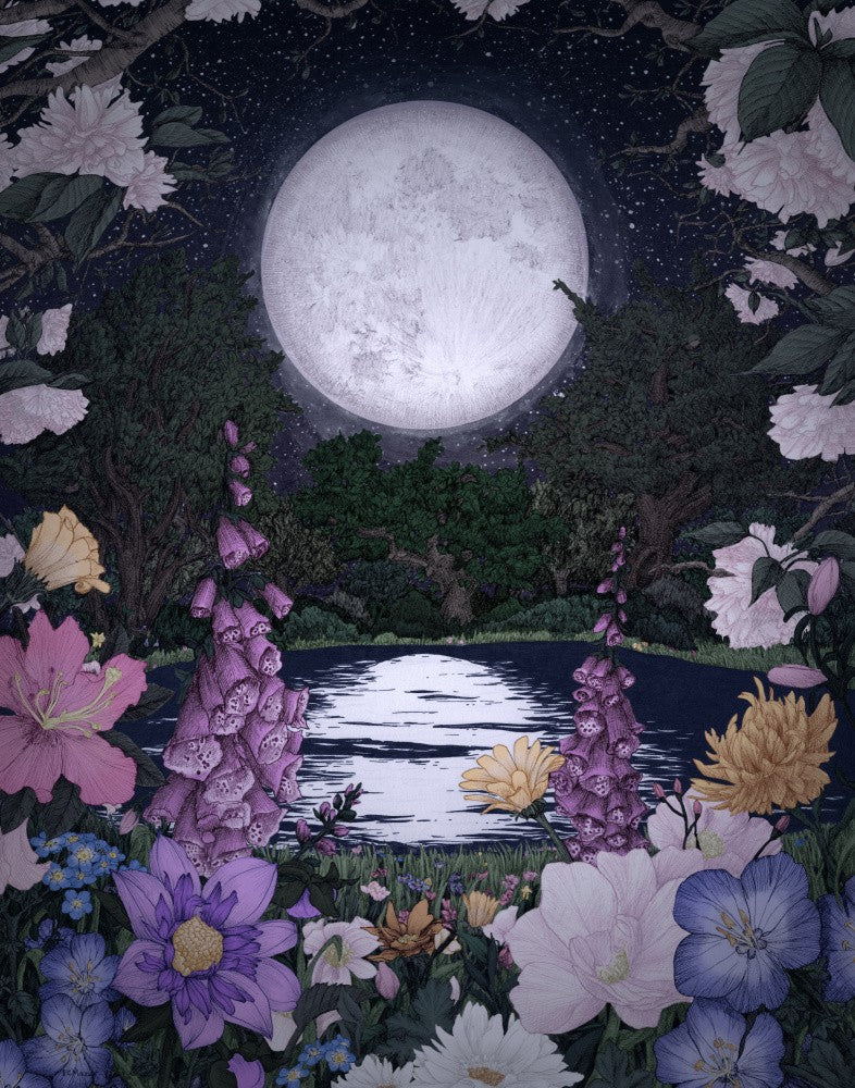 Moon Garden Reflections