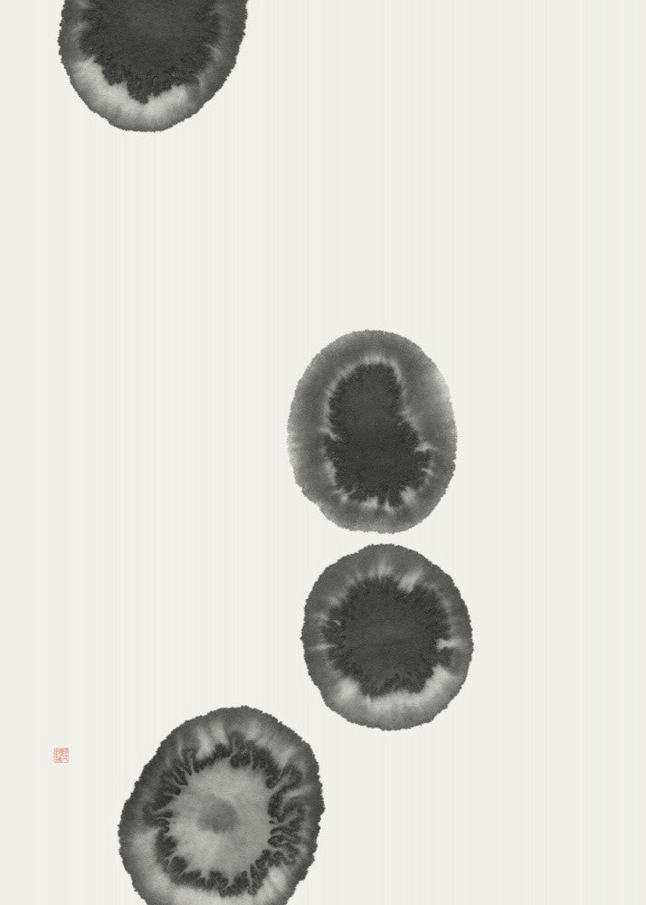 Atoll Ilands
