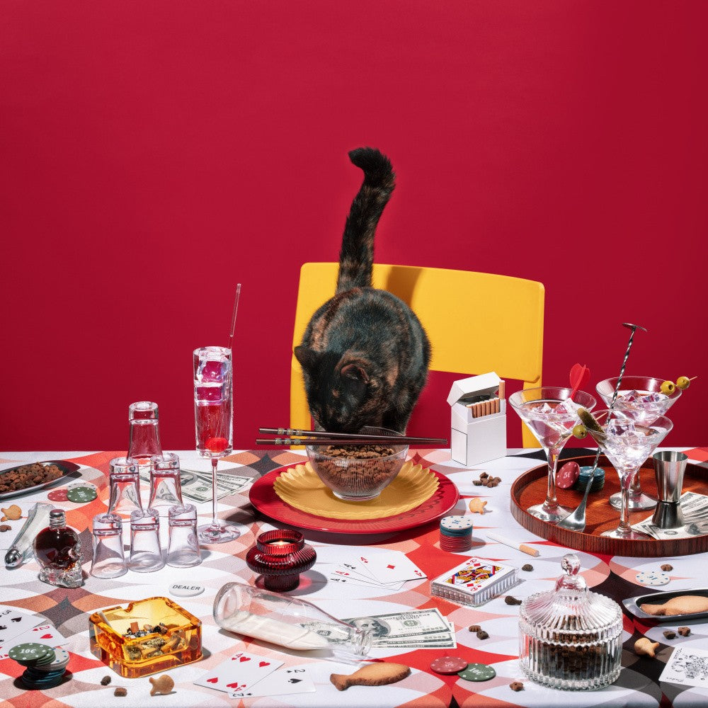 Feline Feast