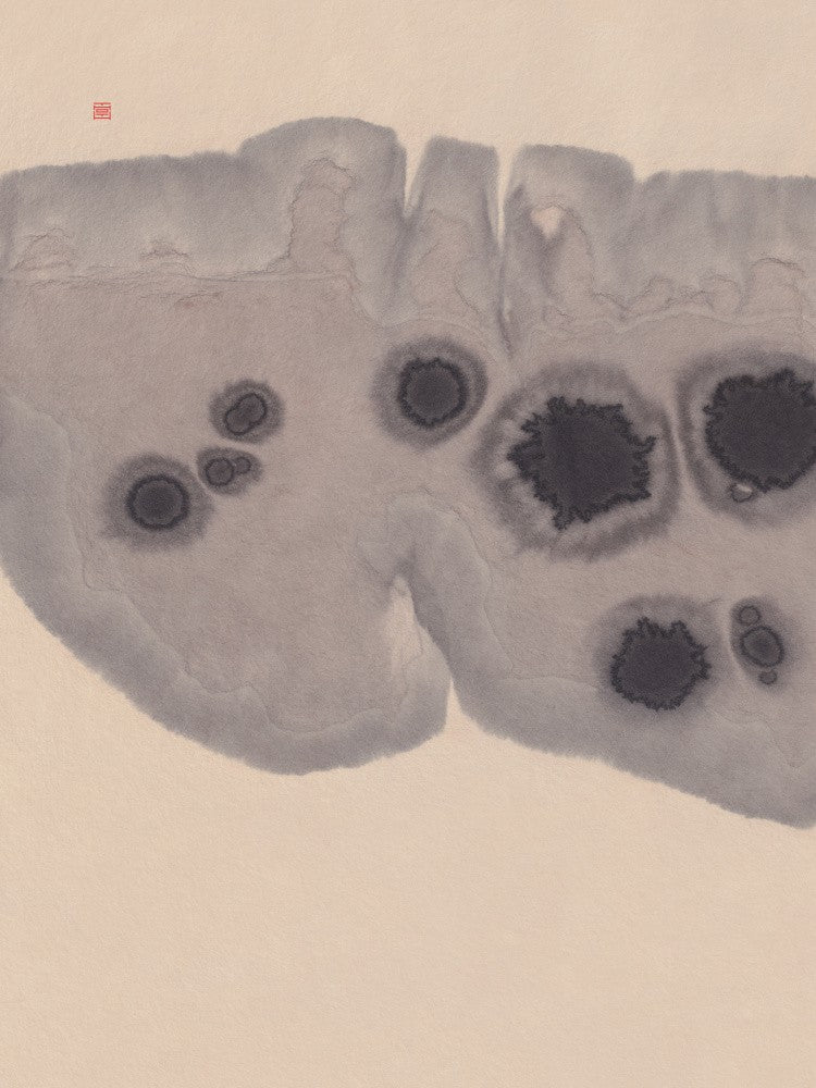 Study N°7 | Epidermis