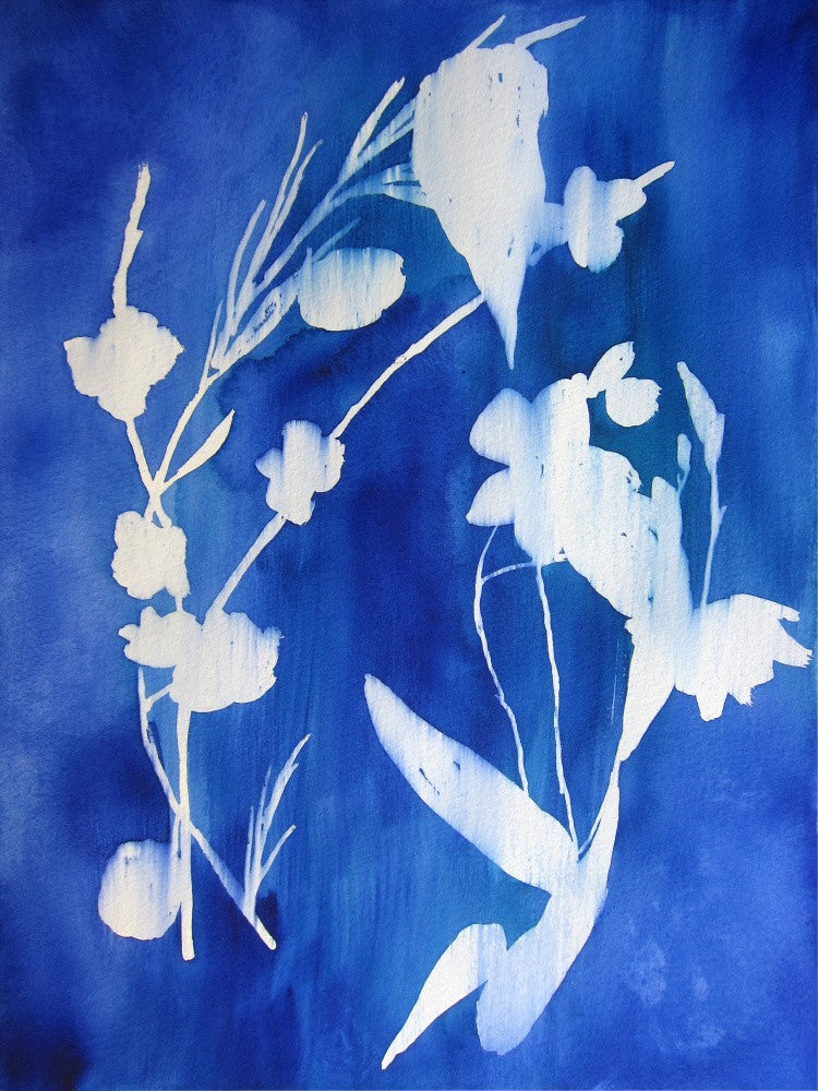 Cyanotype