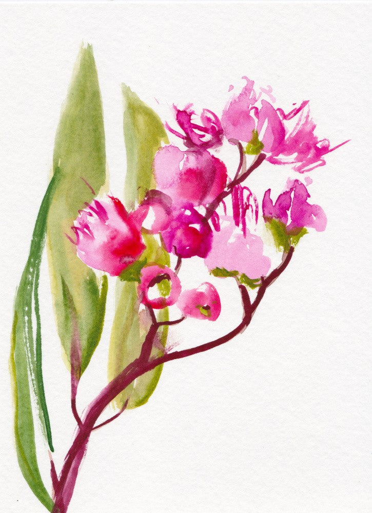 Eucalyptus Small