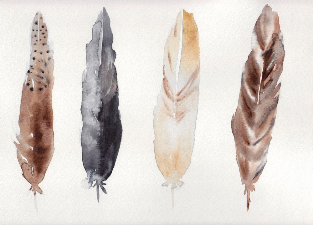 Feathers