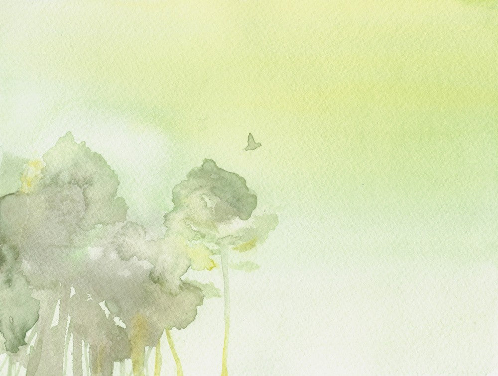 Fly Away From Here Copy