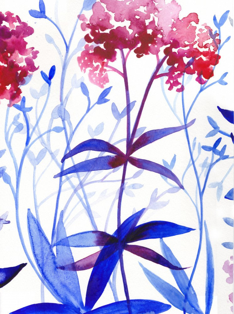 Garden By the Sea