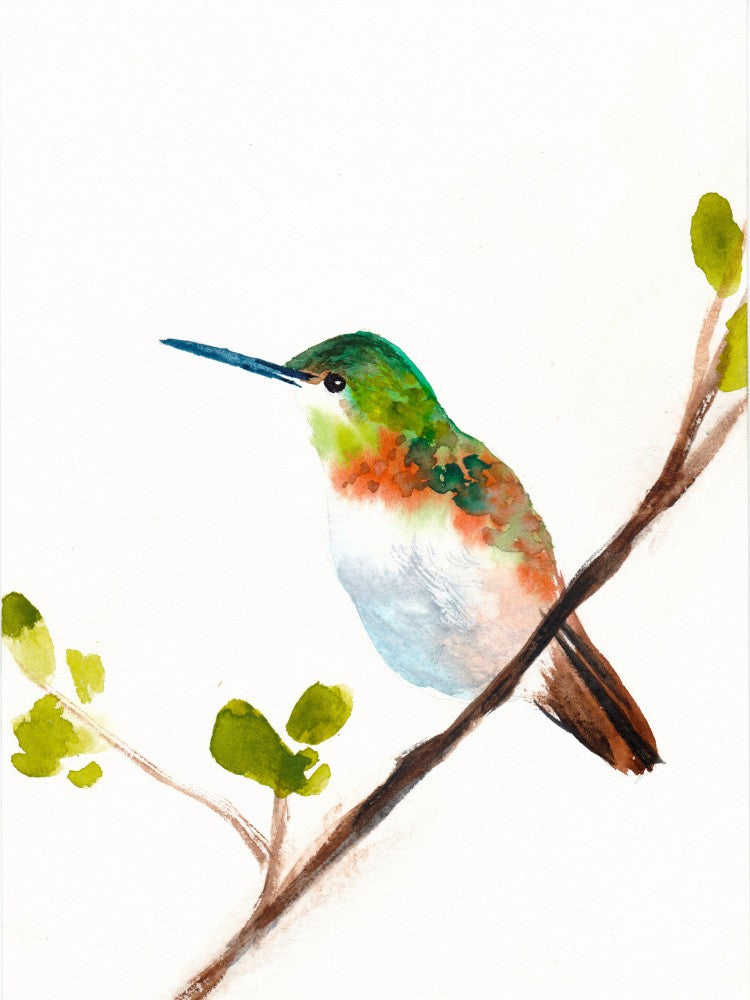 Hummingbird Small