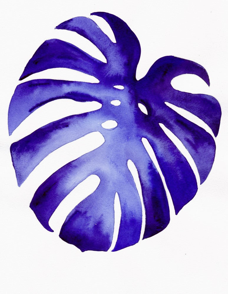 Monstera2