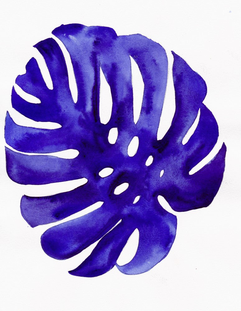 Monstera3