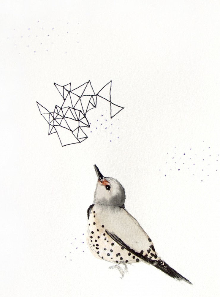 Northern Flicker