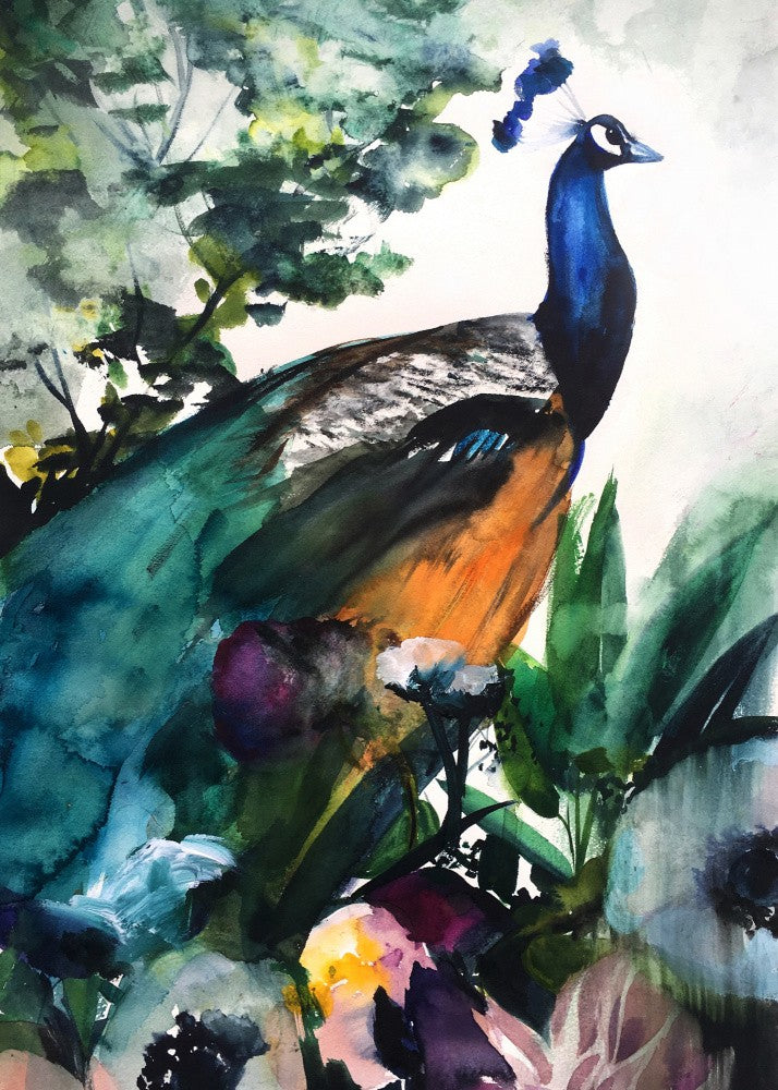 Peacock Garden
