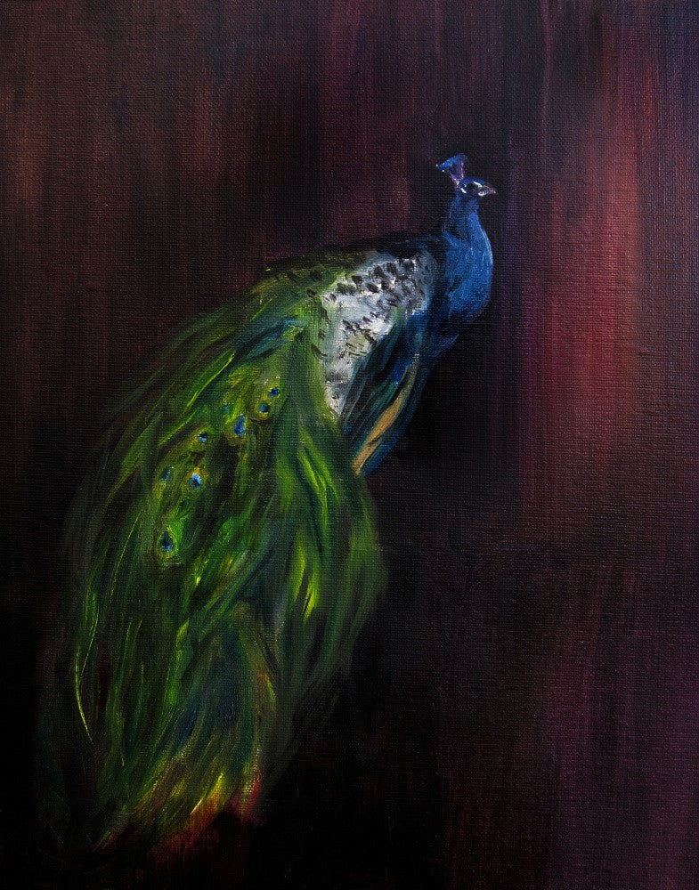 Peacockondark