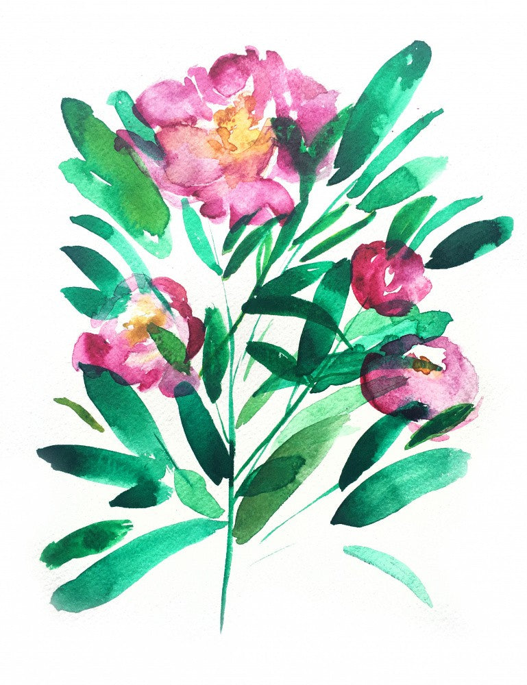 Peonies Iv