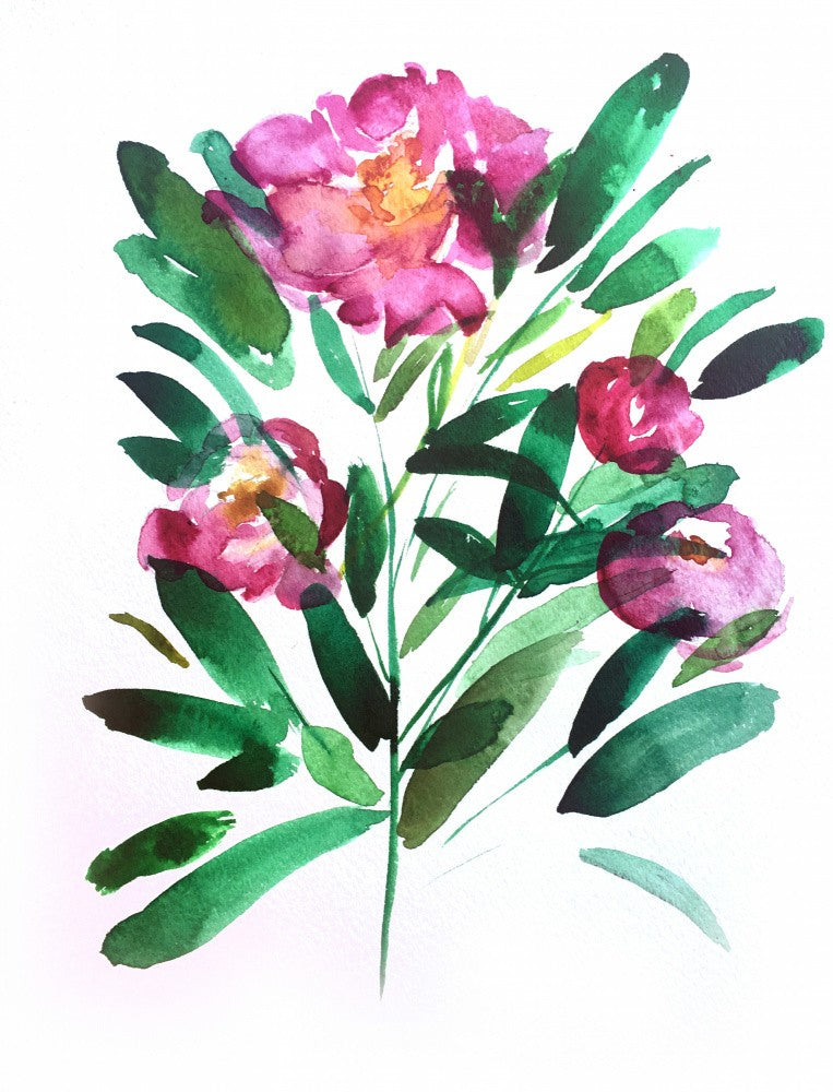 Peoniesii