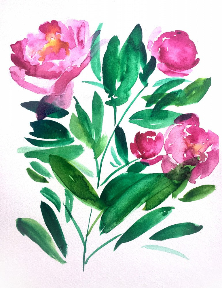 Peoniesiii