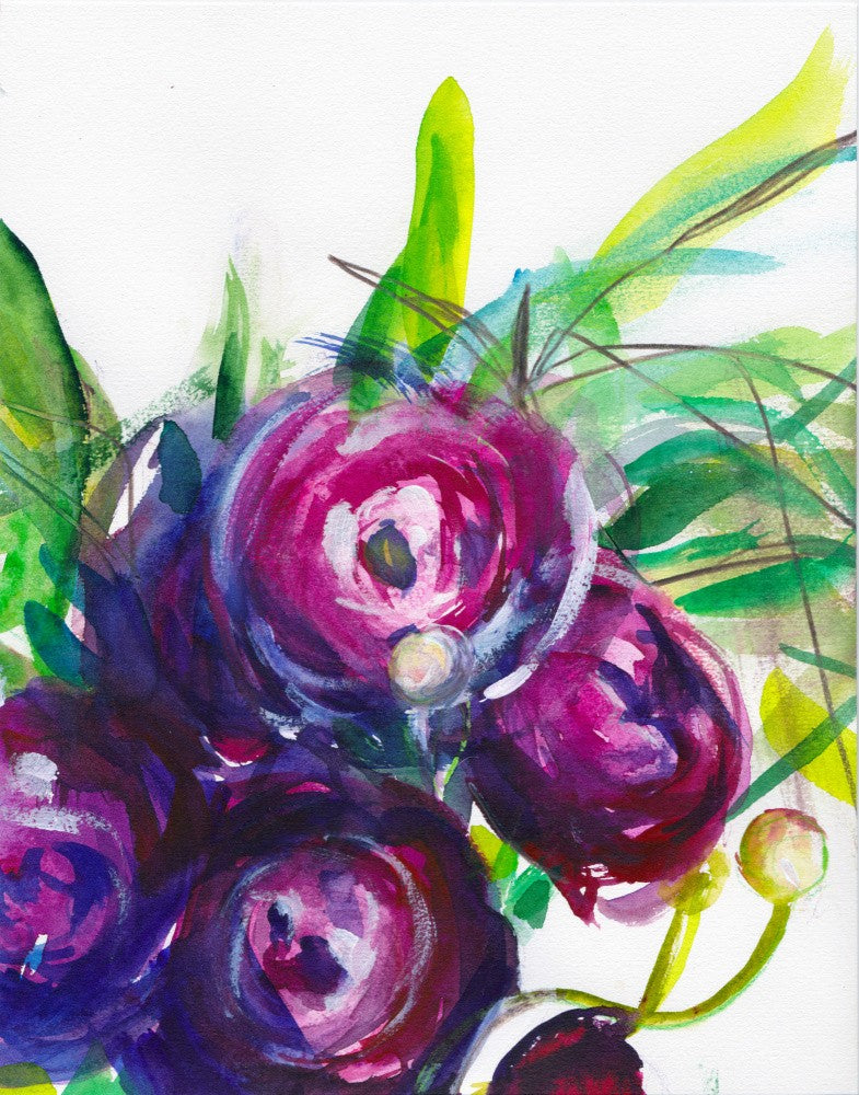 Ranunculus