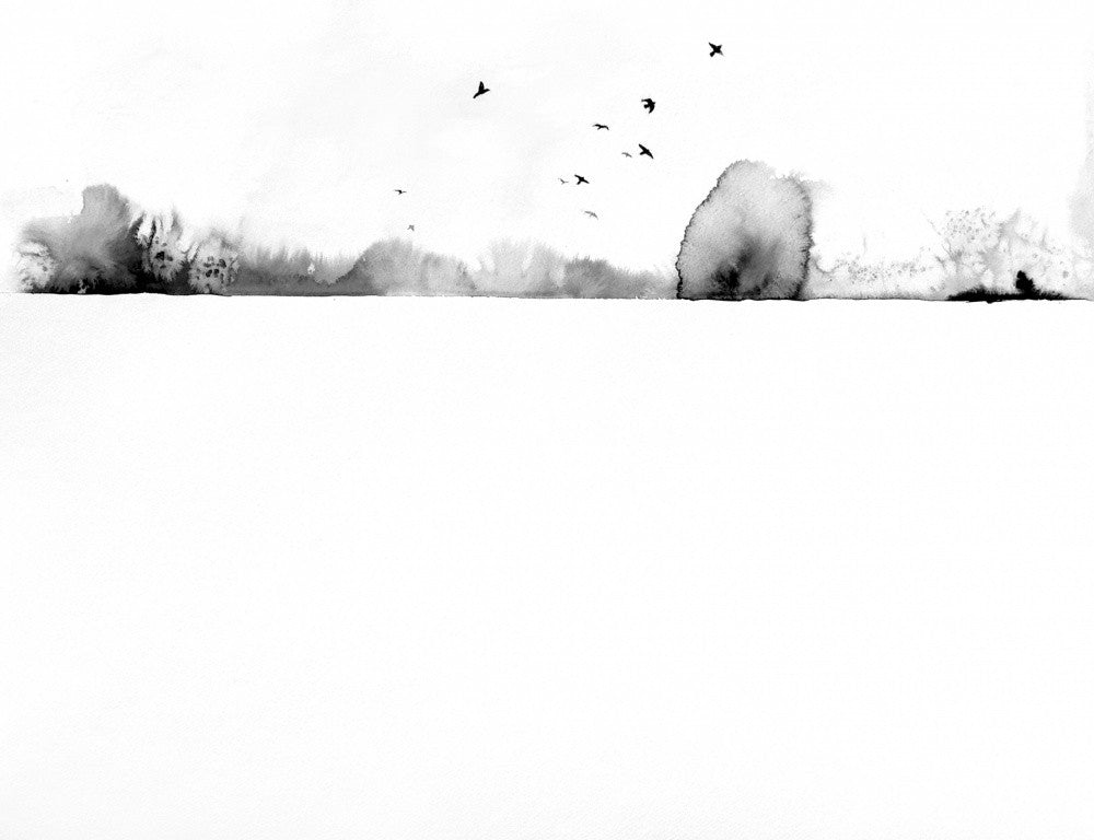 Snow Field