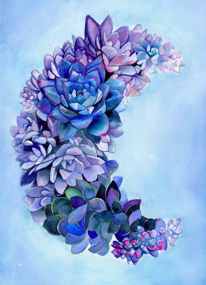 Succulent Moon Garden Small