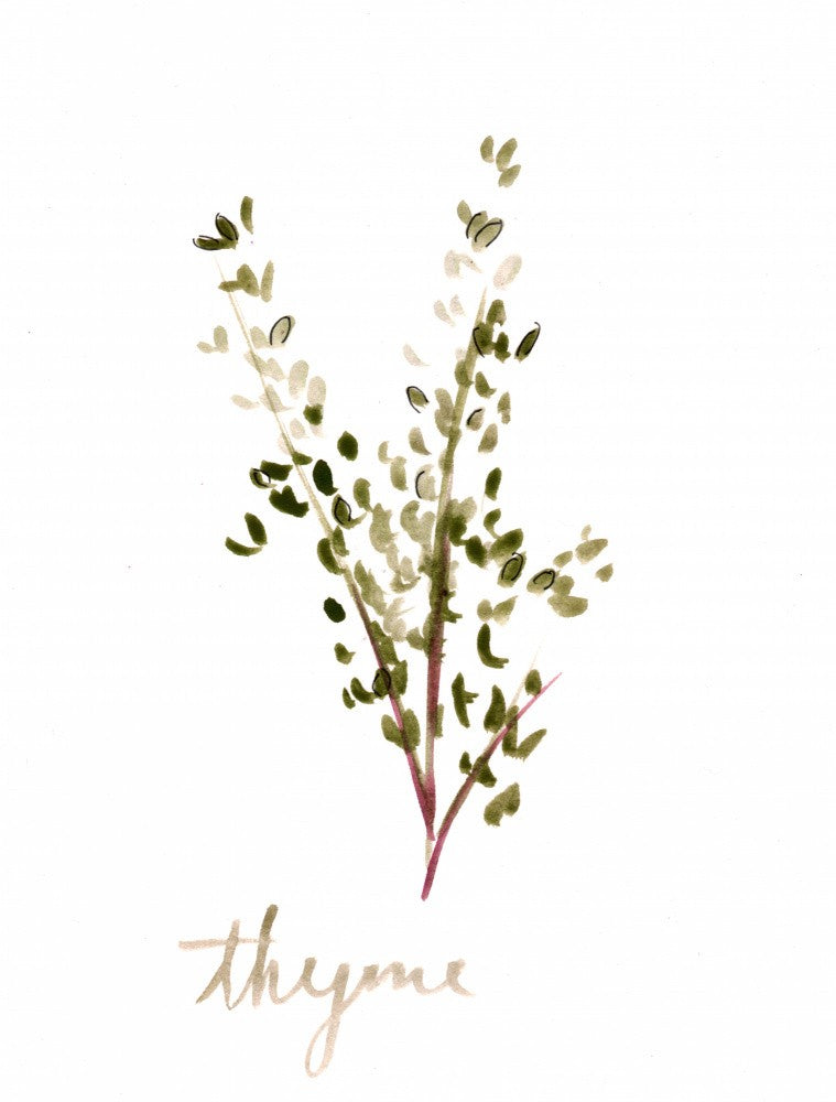 Thyme1