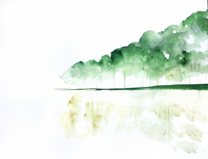 Trees On a Lake