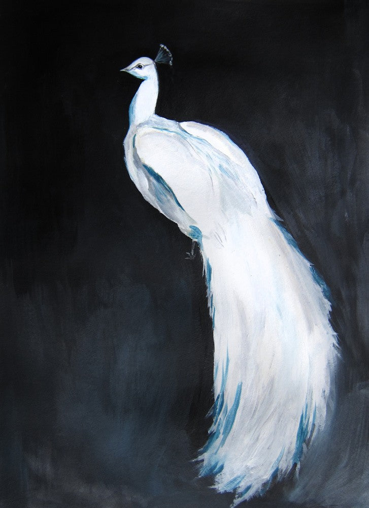 Whitepeacock2