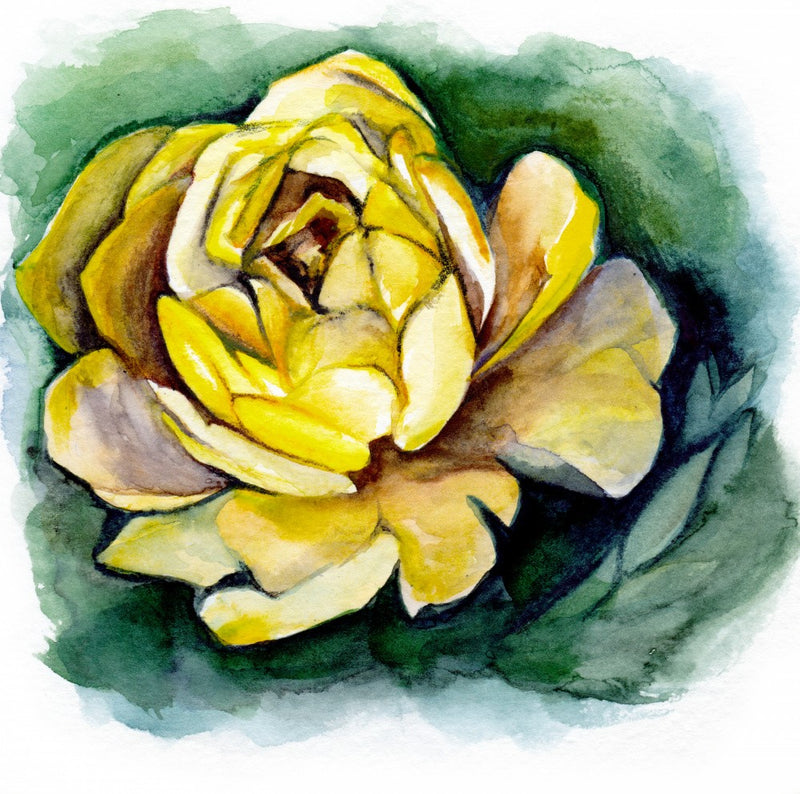 Yellow Peony