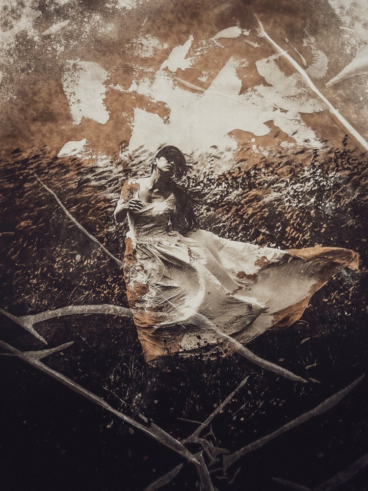 tempête