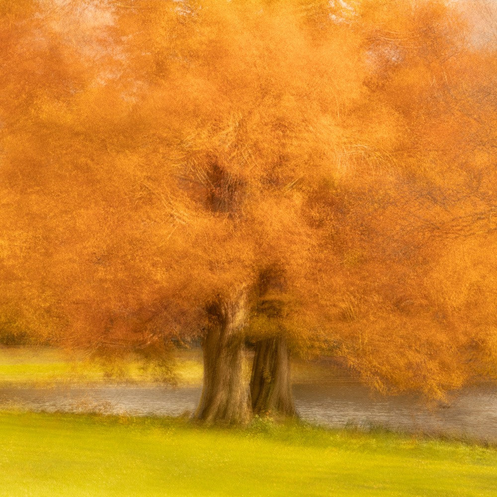 Malstimmung in Orange