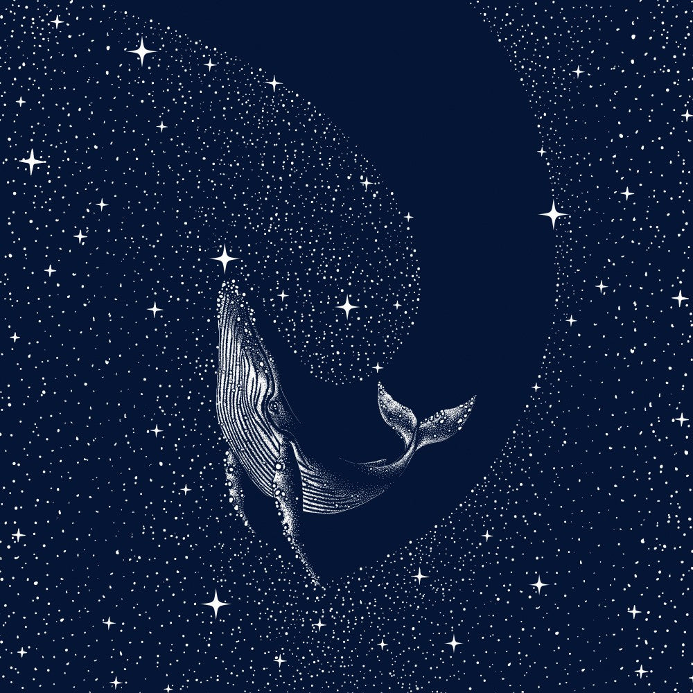 Starry Whale