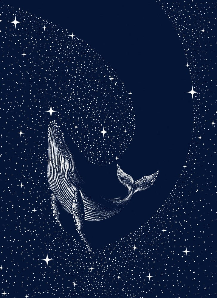 Starry Whale
