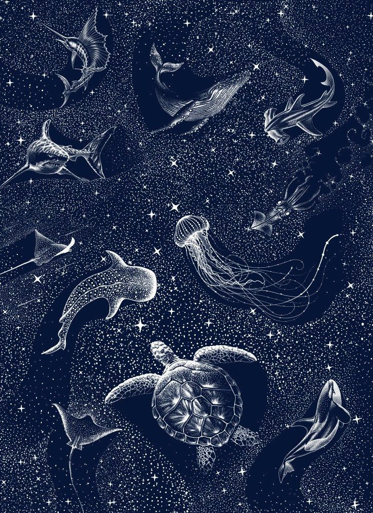 Cosmic Ocean