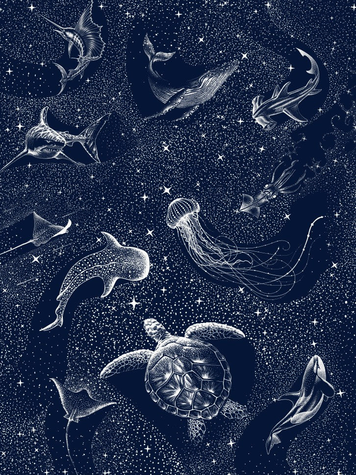 Cosmic Ocean