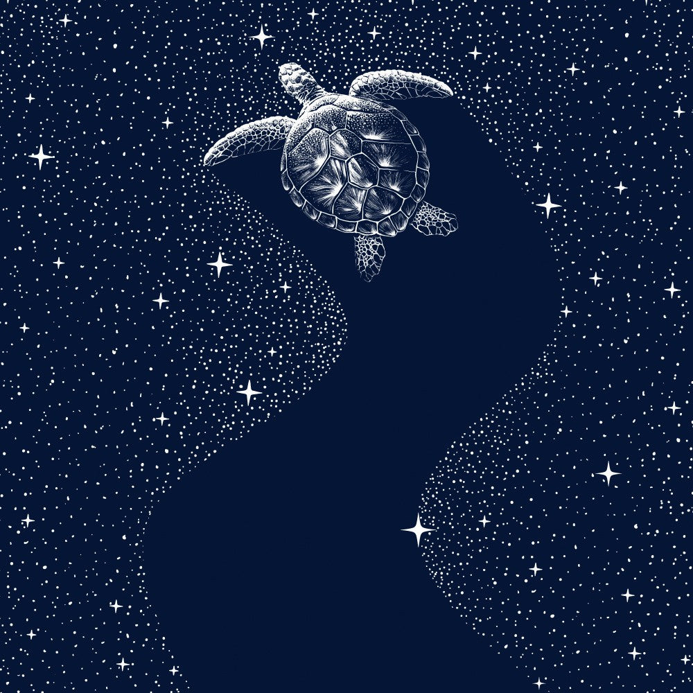 Starry Turtle
