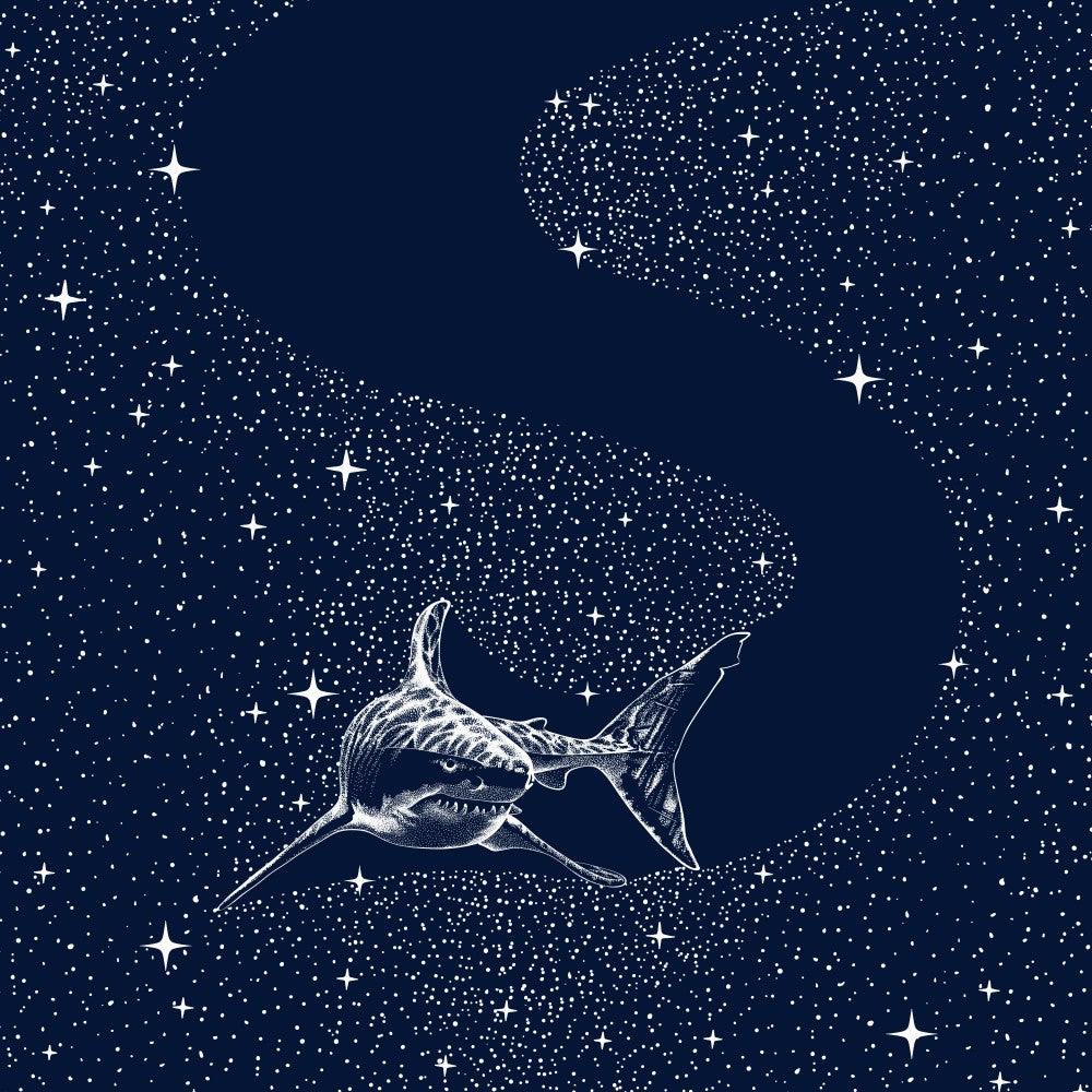 Starry Shark