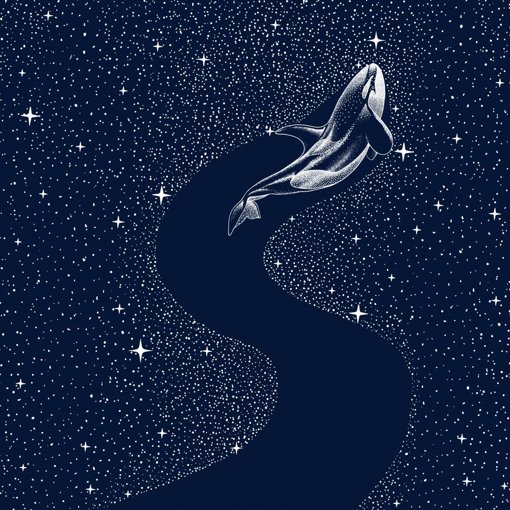 Starry Orca
