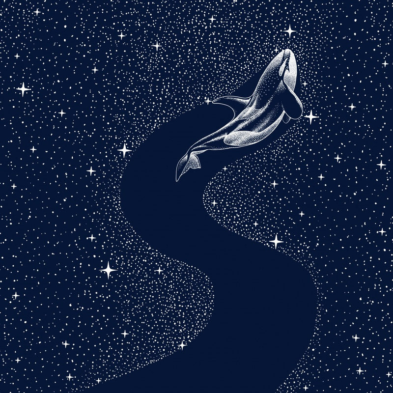 Starry Orca
