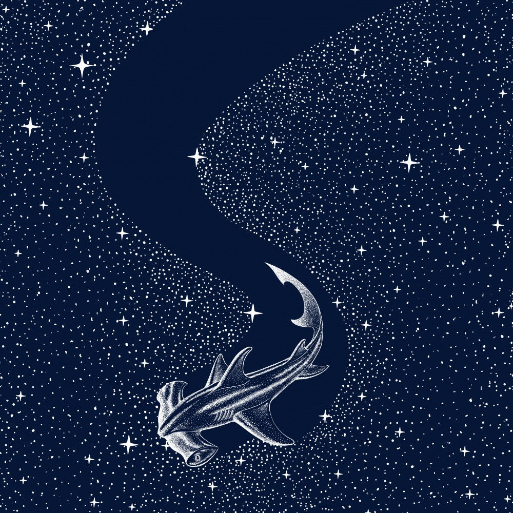 Starry Hammerhead