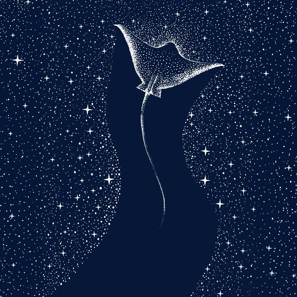 Star Collector